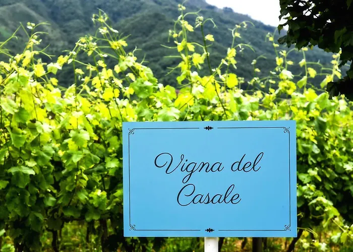 Agriturismo Guerritore