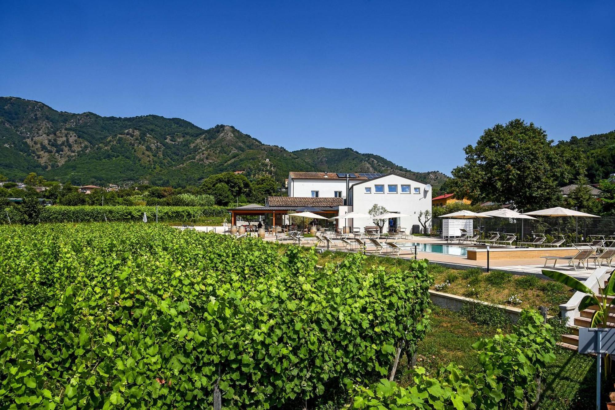 Farm stay Guerritore Baronissi
